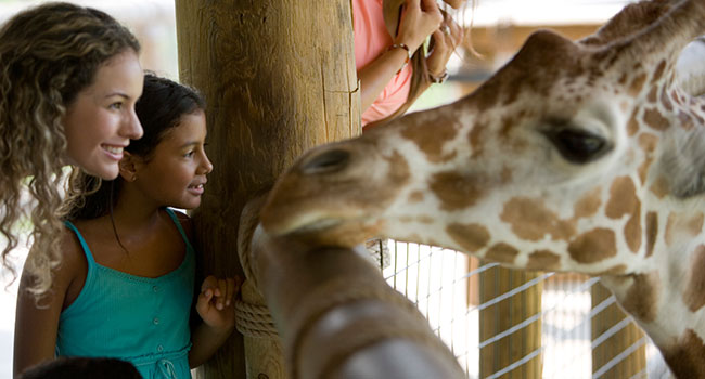 Denver Zoo at Colorado